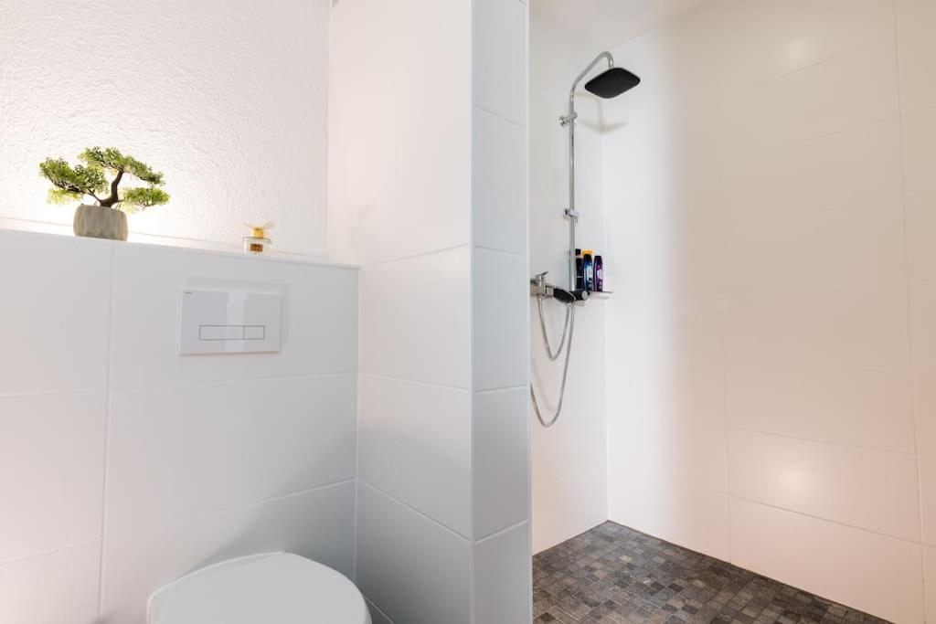 Lava-loft Mendig